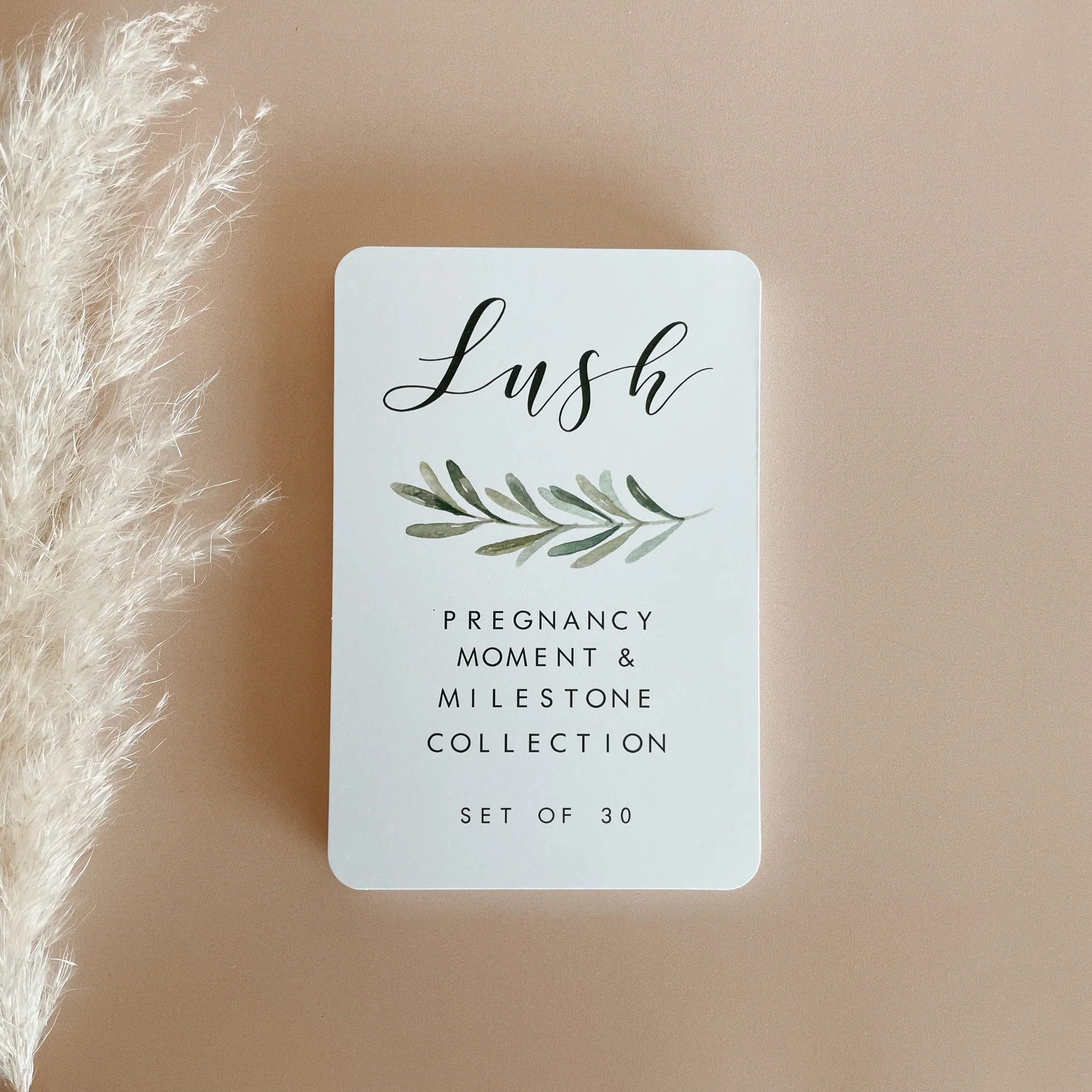 Blossom and Pear - Pregnancy Milestone Cards - Lush Collection