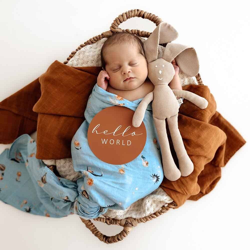Snuggle Hunny - Dream & Hazelnut Reversible Milestone Cards