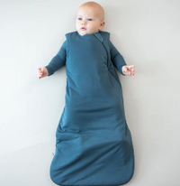 Kyte Baby Sleep Bag (1.0) ATLANTIC