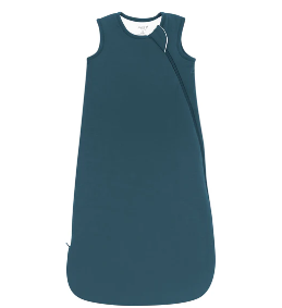 Kyte Baby Sleep Bag (1.0) ATLANTIC