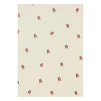 Special Day Greeting Cards