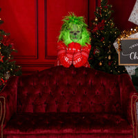 Grumpy Green Guy Photos with S.Smart Photography - November 8th