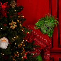 Grumpy Green Guy Photos with S.Smart Photography - November 8th