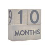Pearhead Milestone Blocks- Grey