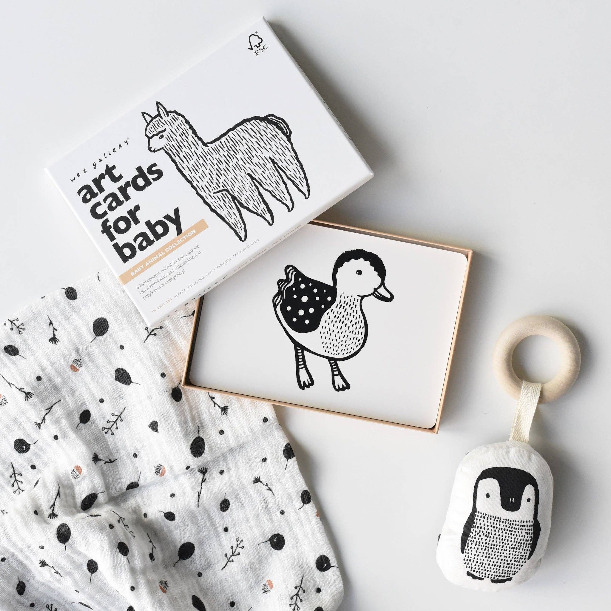 Little Naturalist Gift Set - Baby Animals