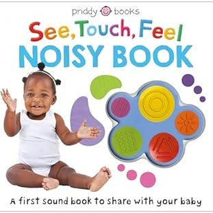 See Touch Feel: Noisy Boook