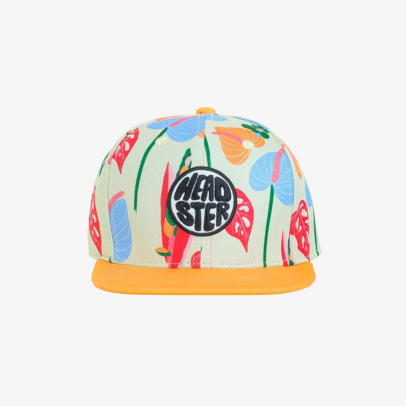 Headster - Snapback Hats