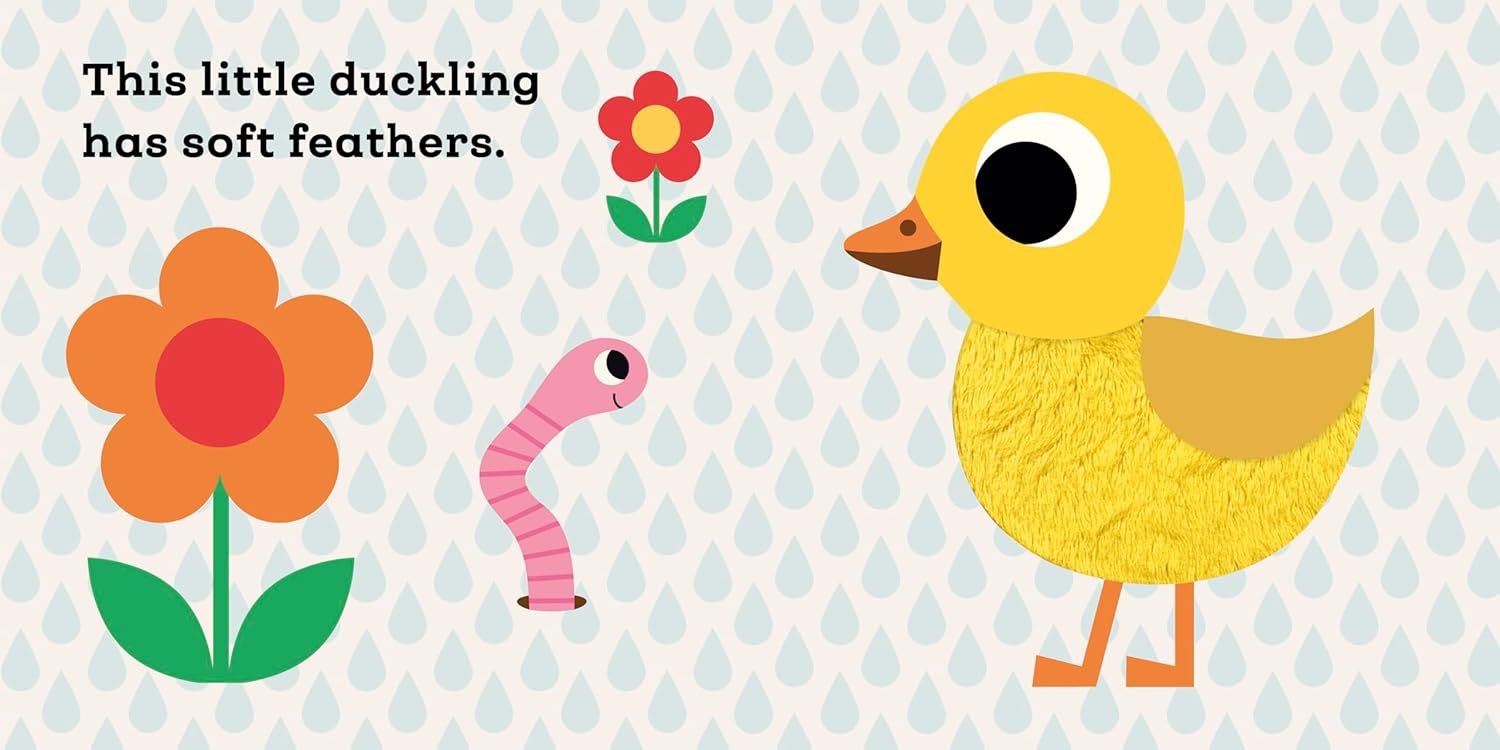 This Little Duckling - Touch & Feel Book