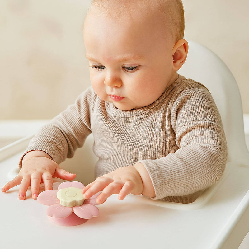 Ahoy Wheel Suction Spinner Toy