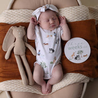 Snuggle Hunny- Dog Park & Seedling Reversible Milestone Cards