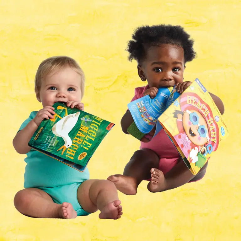 Indestructibles: Sesame Street: Beach Day