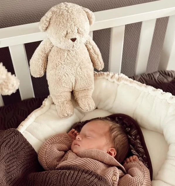 Moonie- Sensory Little Teddy in Cappuccino