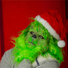 Grumpy Green Guy Photos with S.Smart Photography - November 23rd