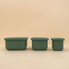 Snack set - Leaf