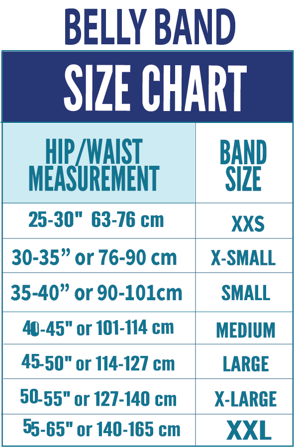 C-Section Recovery Belt Kit