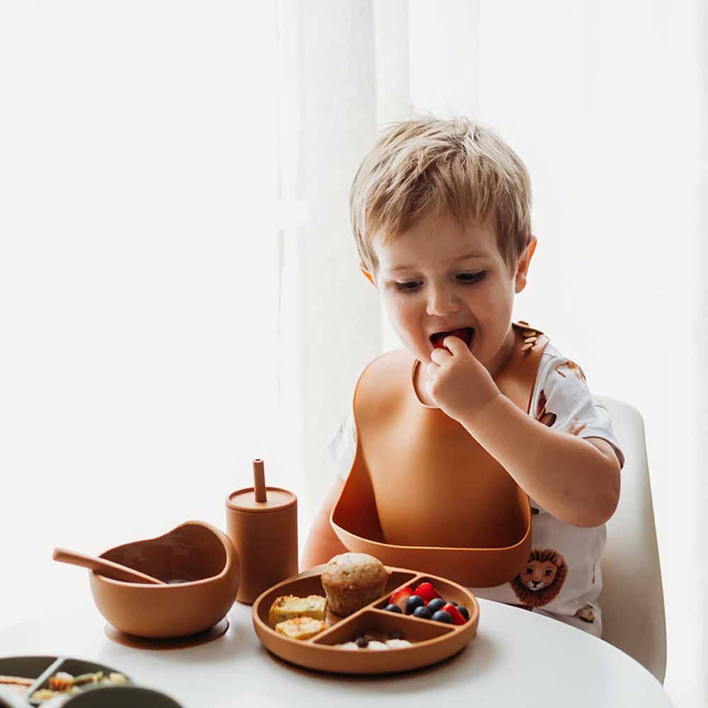 Snuggle Hunny - Silicone Meal Kit Chestnut