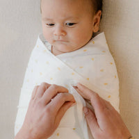 Homegrown - Jersey Swaddle -Wheat
