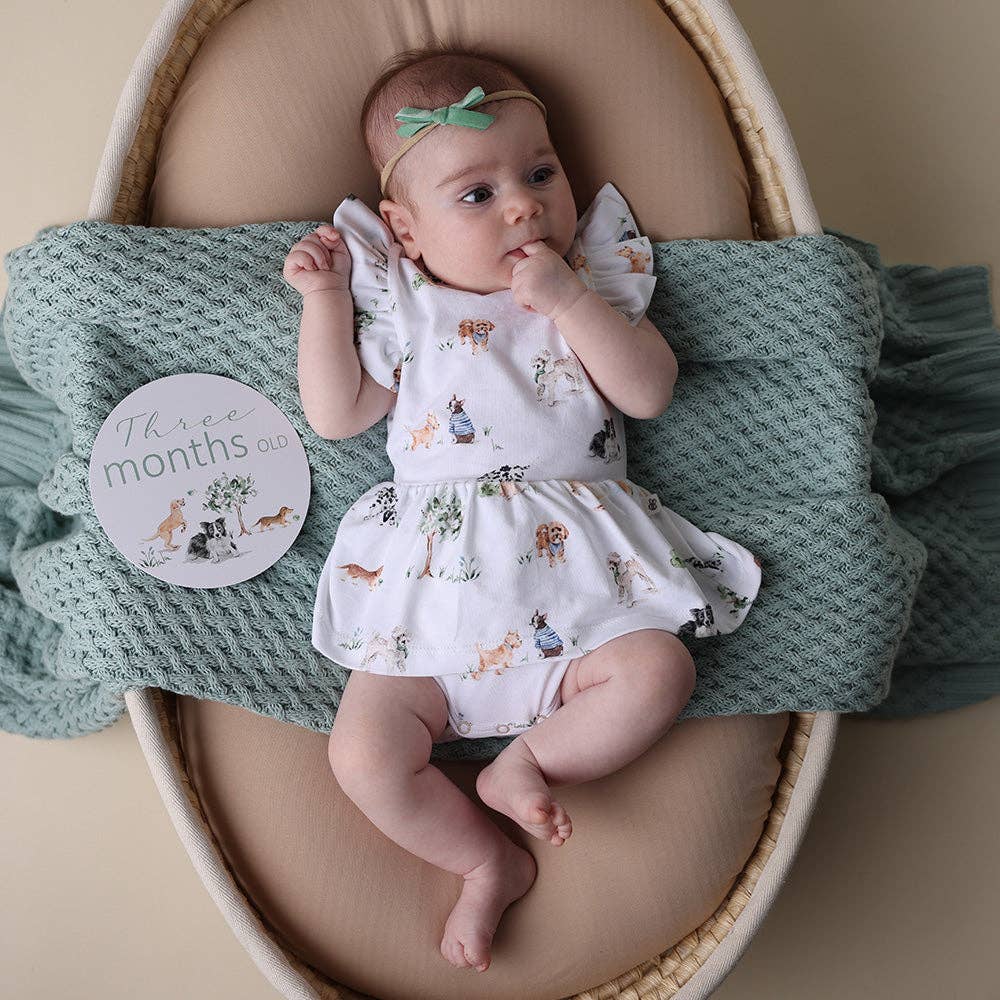 Snuggle Hunny- Dog Park & Seedling Reversible Milestone Cards