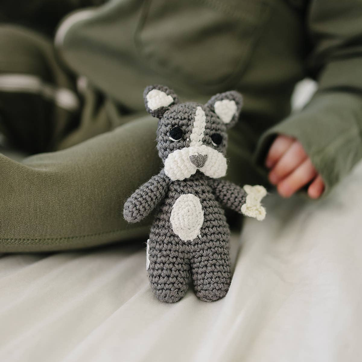 Our Little Treasures - Pocket Frenchie
