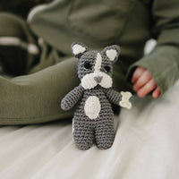 Our Little Treasures - Pocket Frenchie