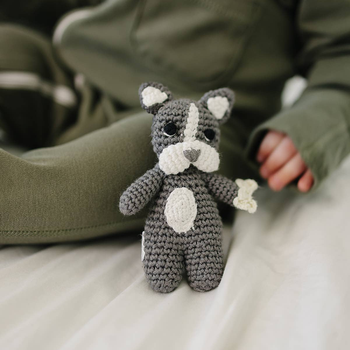 Our Little Treasures - Pocket Frenchie