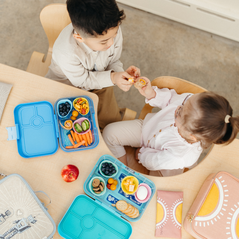 Sunrise Muted Clay Lunch Box