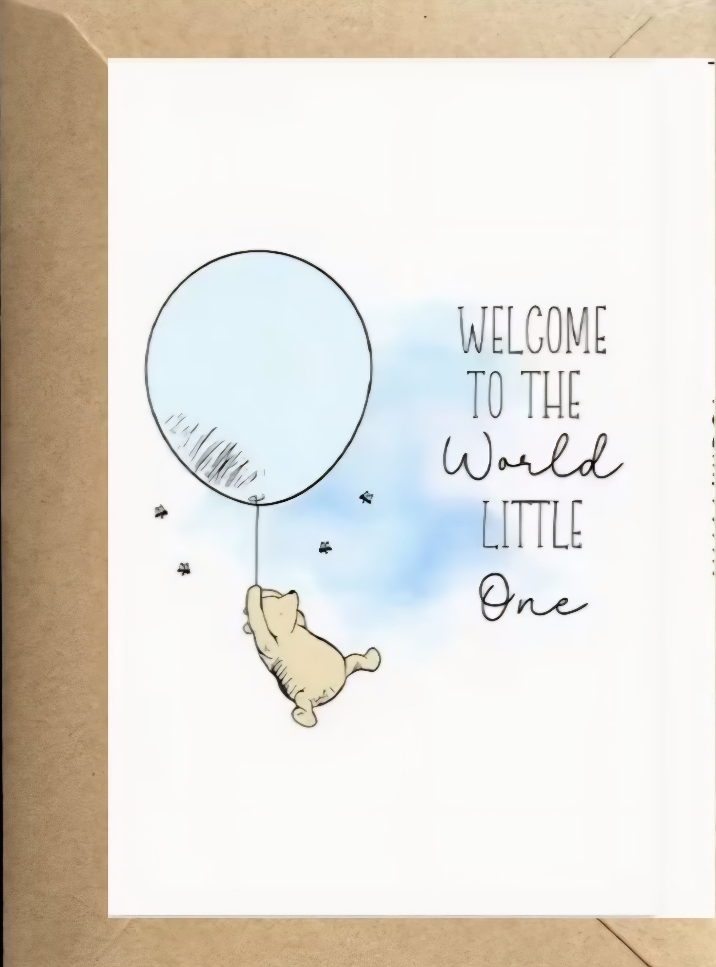 Welcome to the World Little one