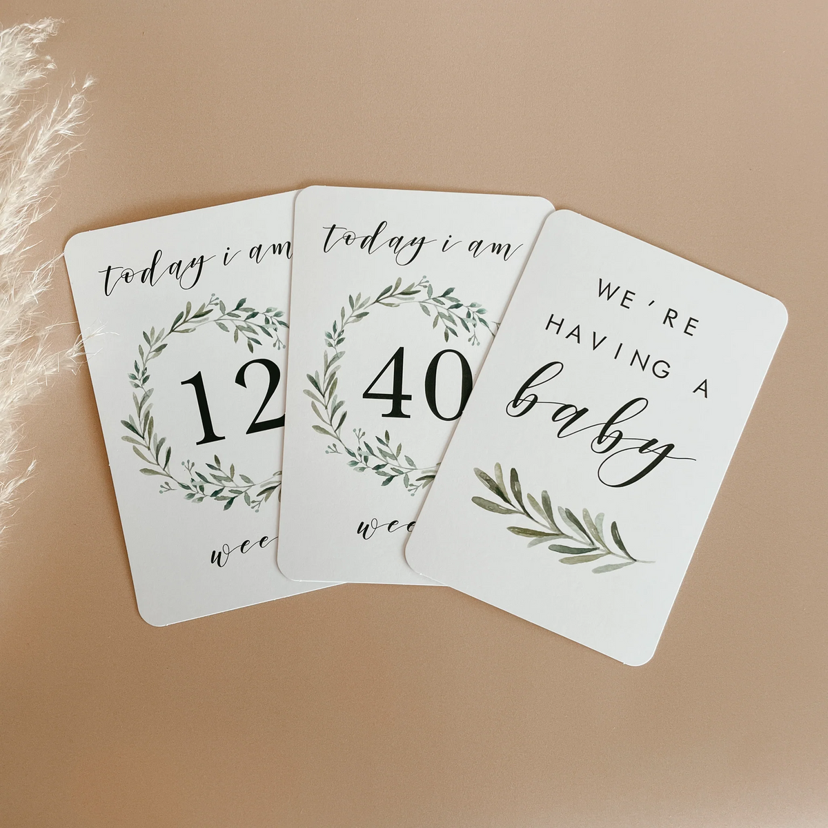 Blossom and Pear - Pregnancy Milestone Cards - Lush Collection