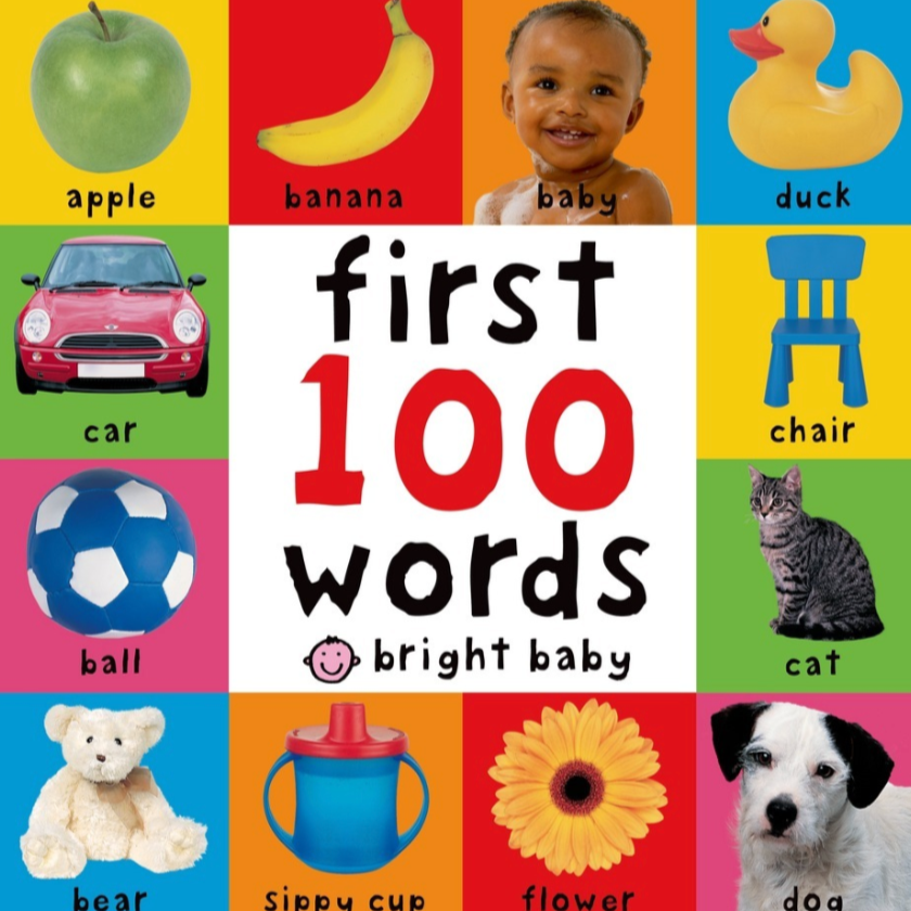Big Board First 100 Words by Roger Priddy baby bump brandon manitoba