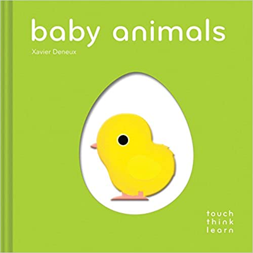 Touch Think Learn: Baby Animals by Xavier Deneux (Board Book) Brandon Manitoba baby bump